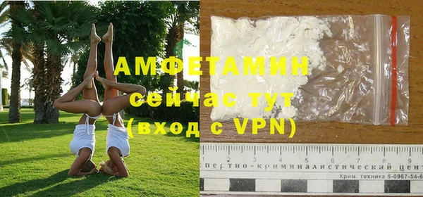 прущие грибы Струнино