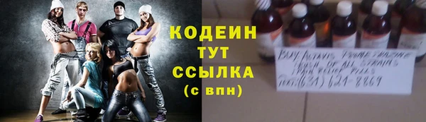 МДПВ Тайга