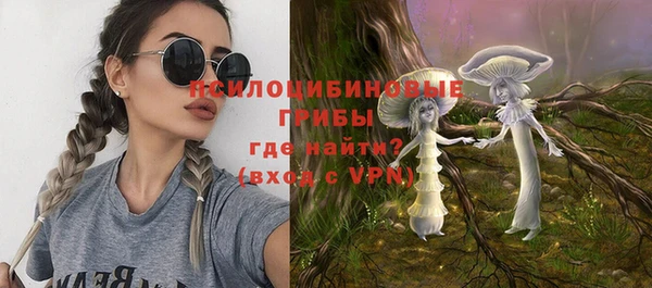 прущие грибы Струнино