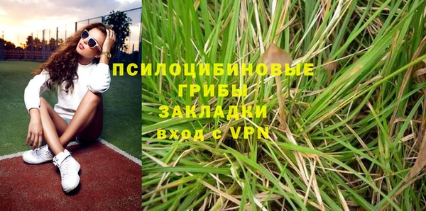 МДПВ Тайга